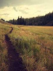 Hao son-in-law Han S