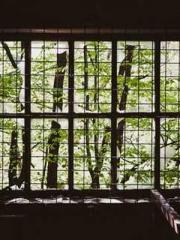 The Heavenly Physici